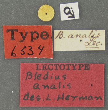 Media type: image;   Entomology 6534 Aspect: labels